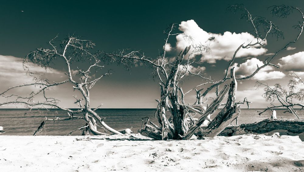 Photograph by Ineta Osipoviča