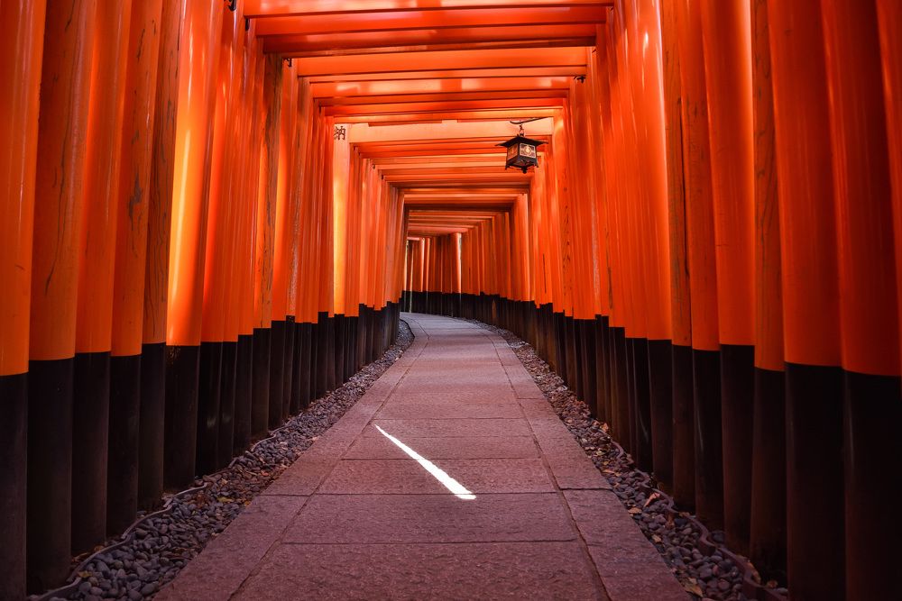 Фотография автора Miles Astray