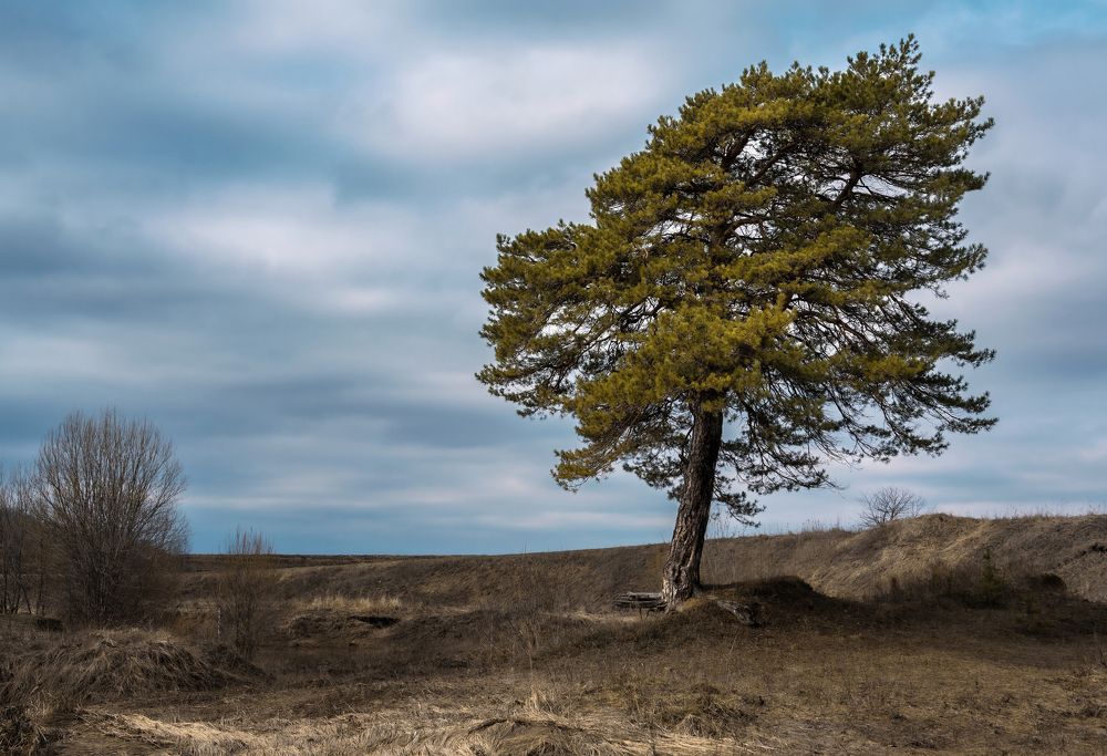 Фотография автора Александр Дюльгер