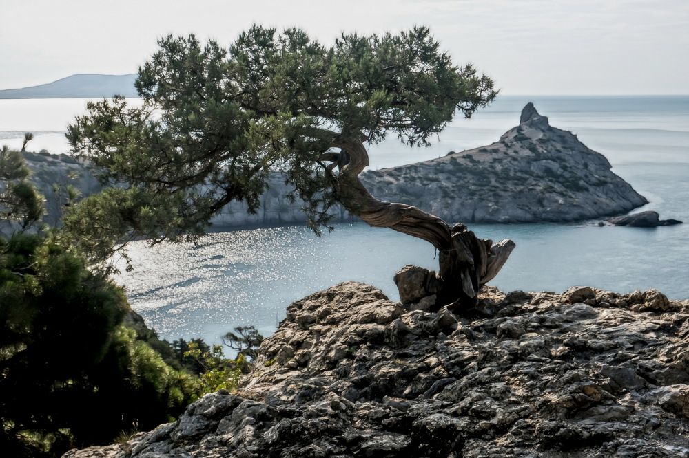 Photograph by Александр Стрельченко