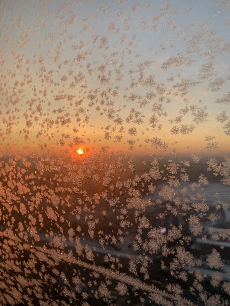 Фотография автора Olga Golubkova