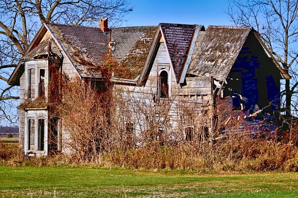 Photograph by A. G. Bisschop