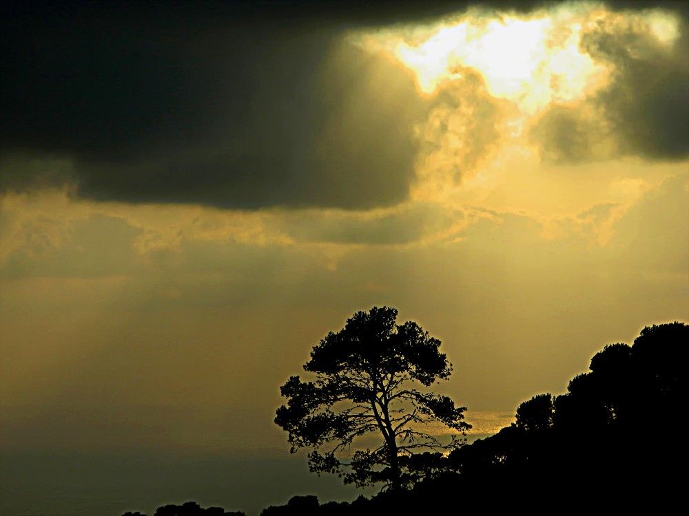 Photograph by Сергей Рапопорт