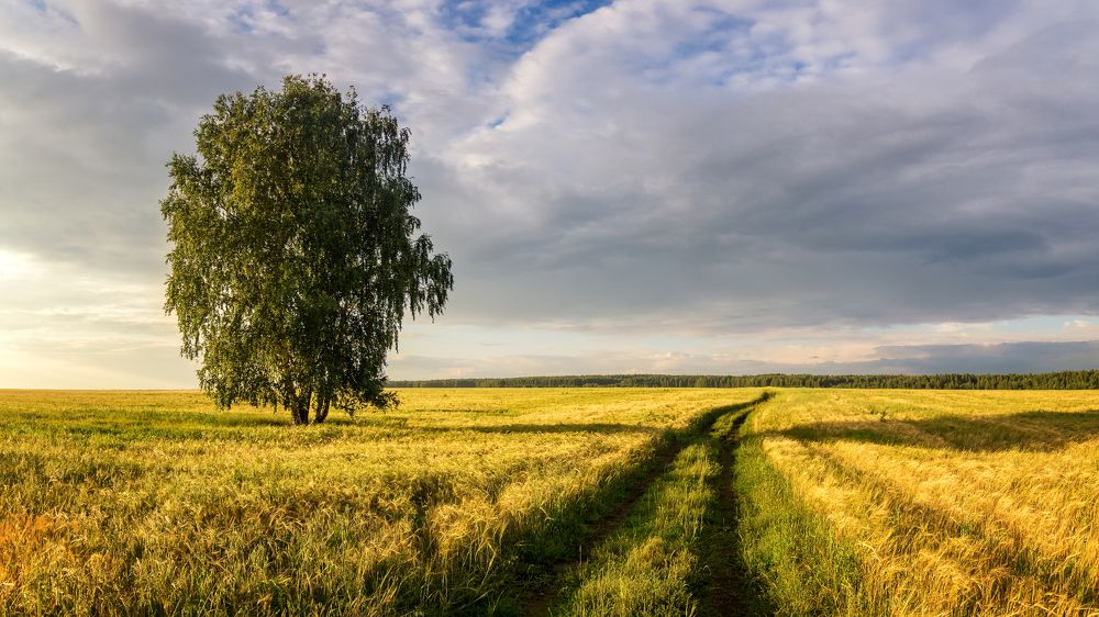 Photograph by Александр Рудный