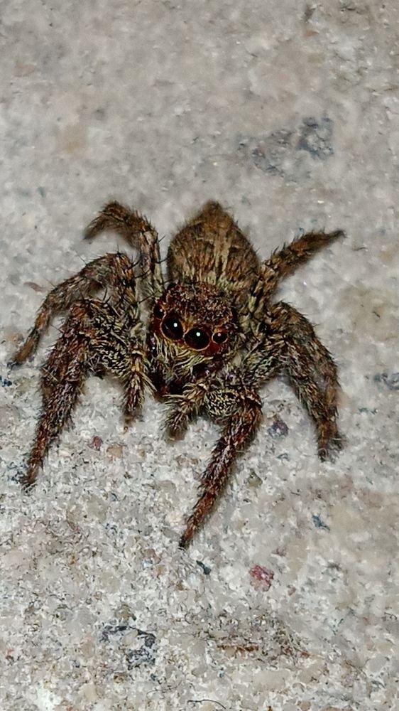 Photograph by Yasha Akhtar