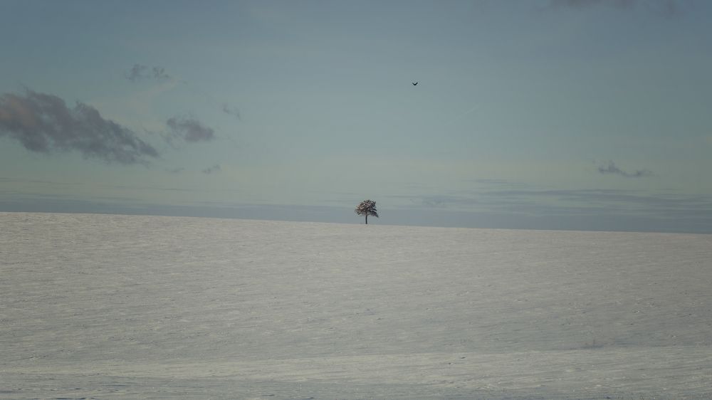 Фотография автора Степан Давыдов