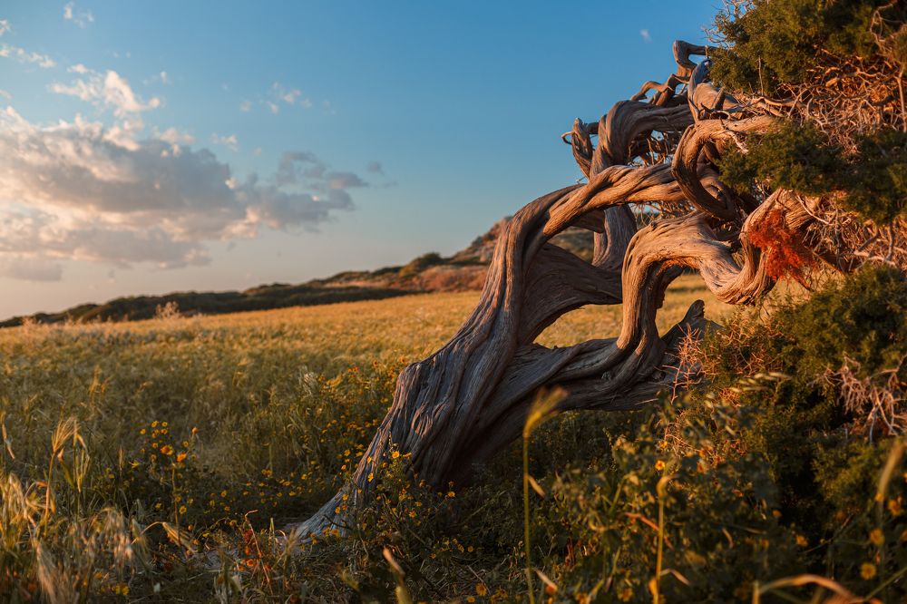 Photograph by Павел Ермилов