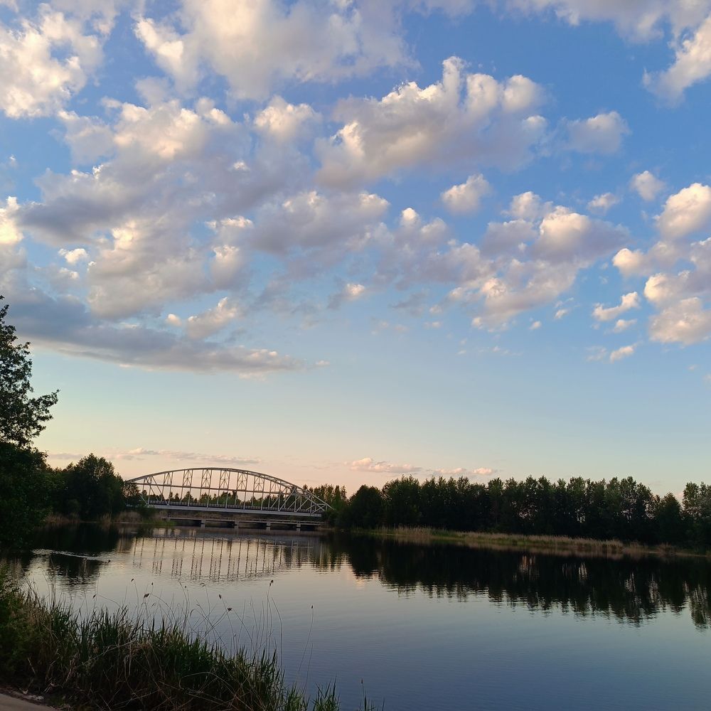 Photo #10631571