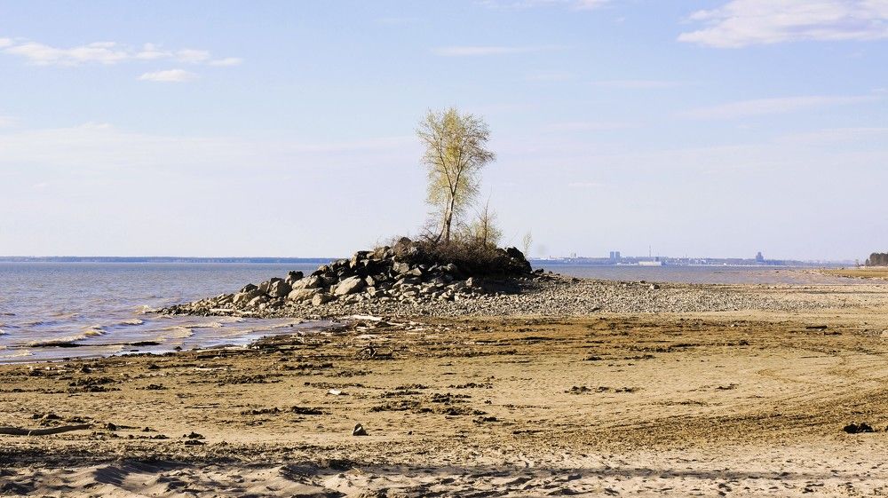 Одинокая берёза на каменном островке