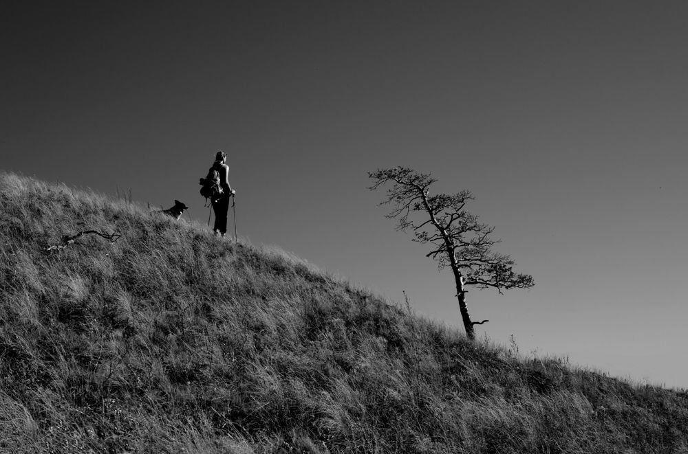 Photograph by Ирина Толокновская