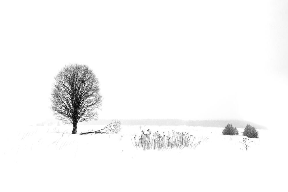 Photograph by Ирина Толокновская