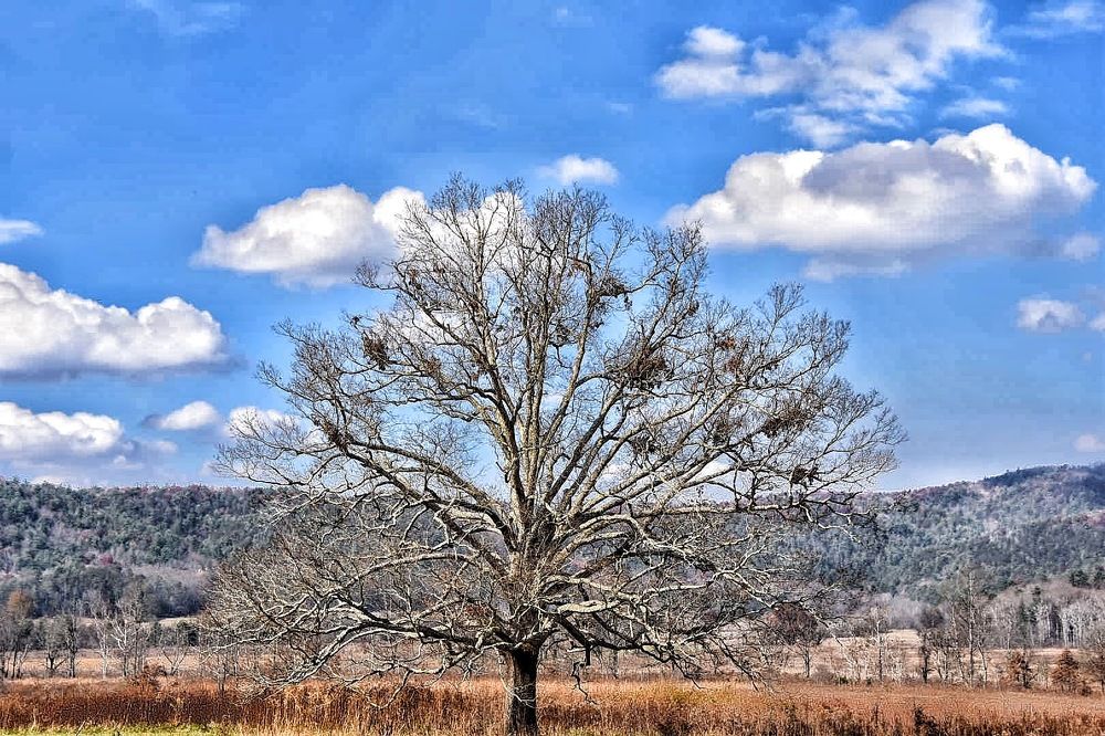 Photograph by Tyler Dewees