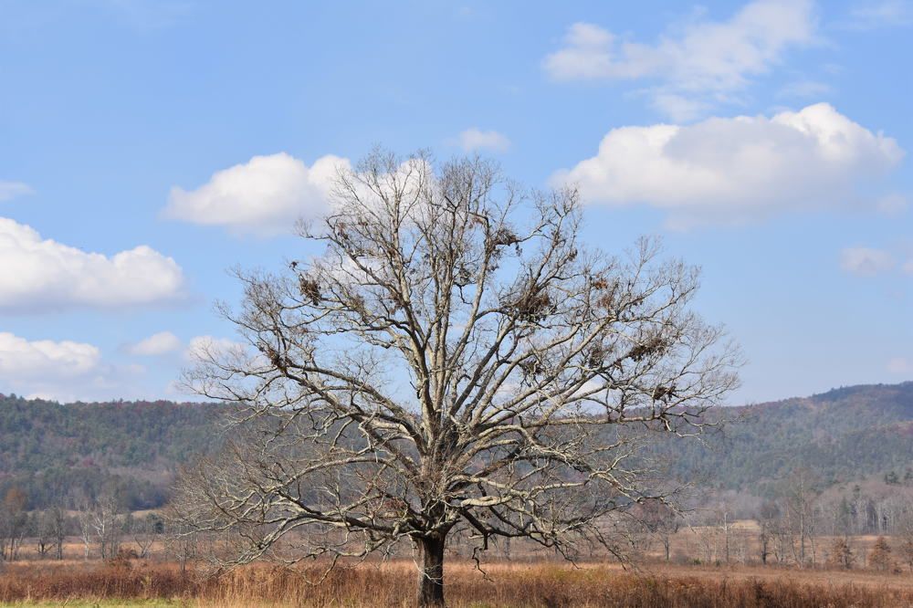 Photograph by Tyler Dewees