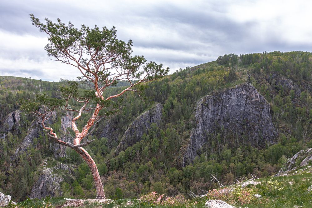 Photograph by Vitaly Lapin