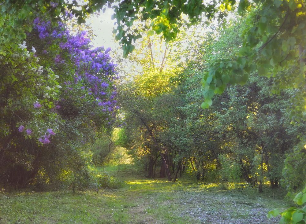 Photograph by Константин Мишнаевский