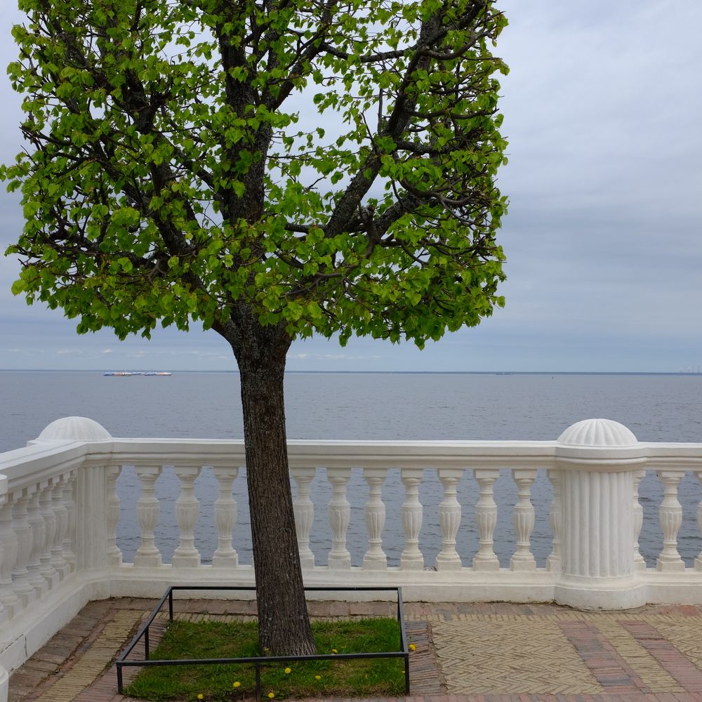 Фотография автора Ольга Шкотова