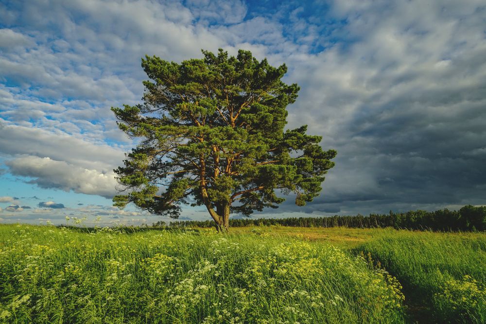 Photograph by Юрий Гаврилов