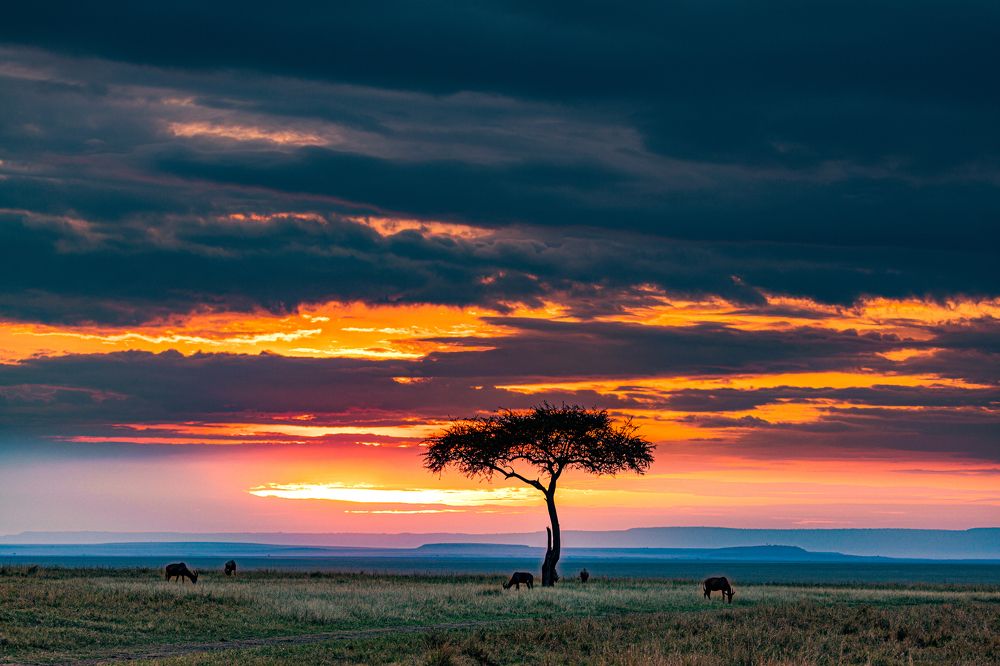 Photograph by Trivet Antony