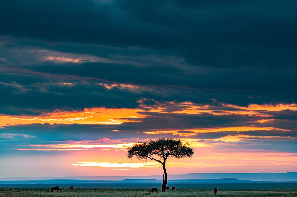 Photograph by Trivet Antony