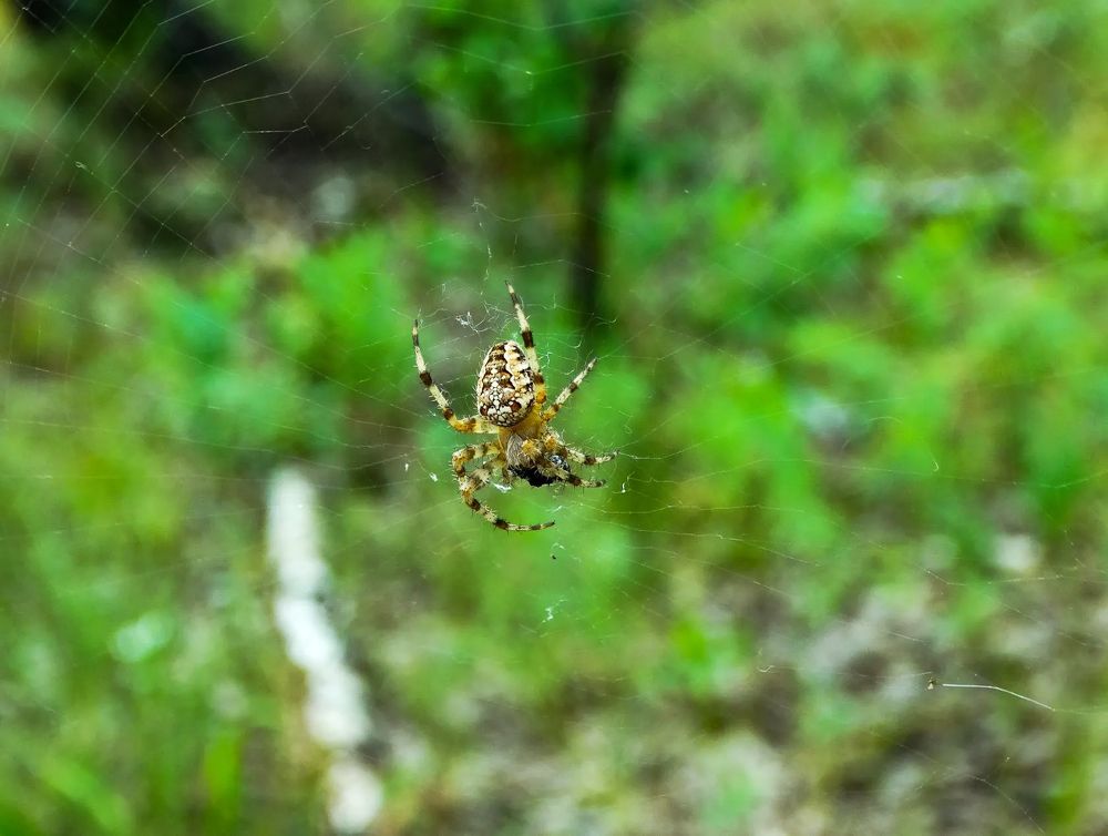 Photograph by Анжелика Трошина