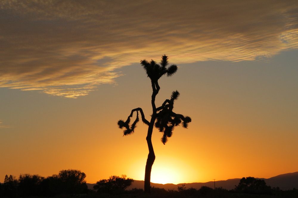 Photograph by Юрий Гаврилов