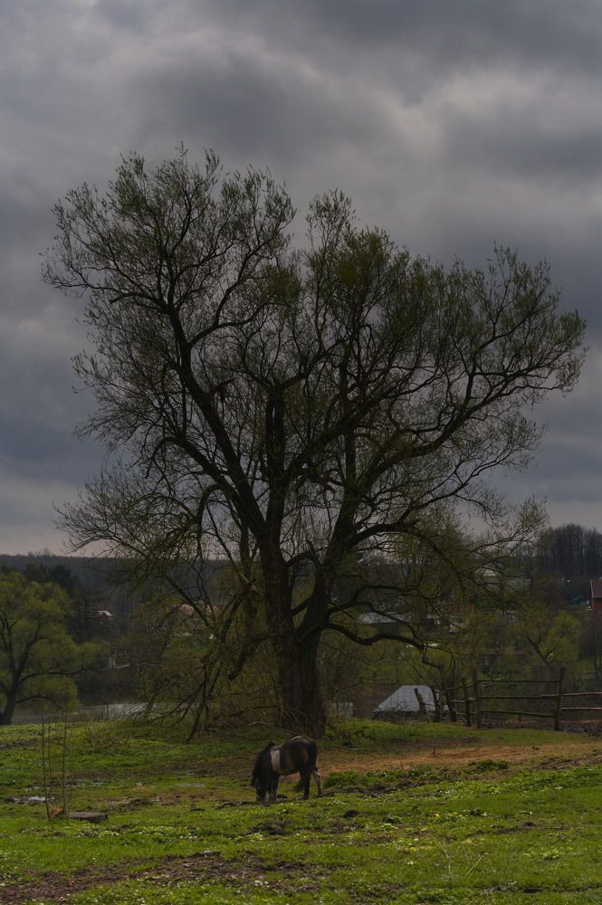 Photograph by DUBINA LEONID