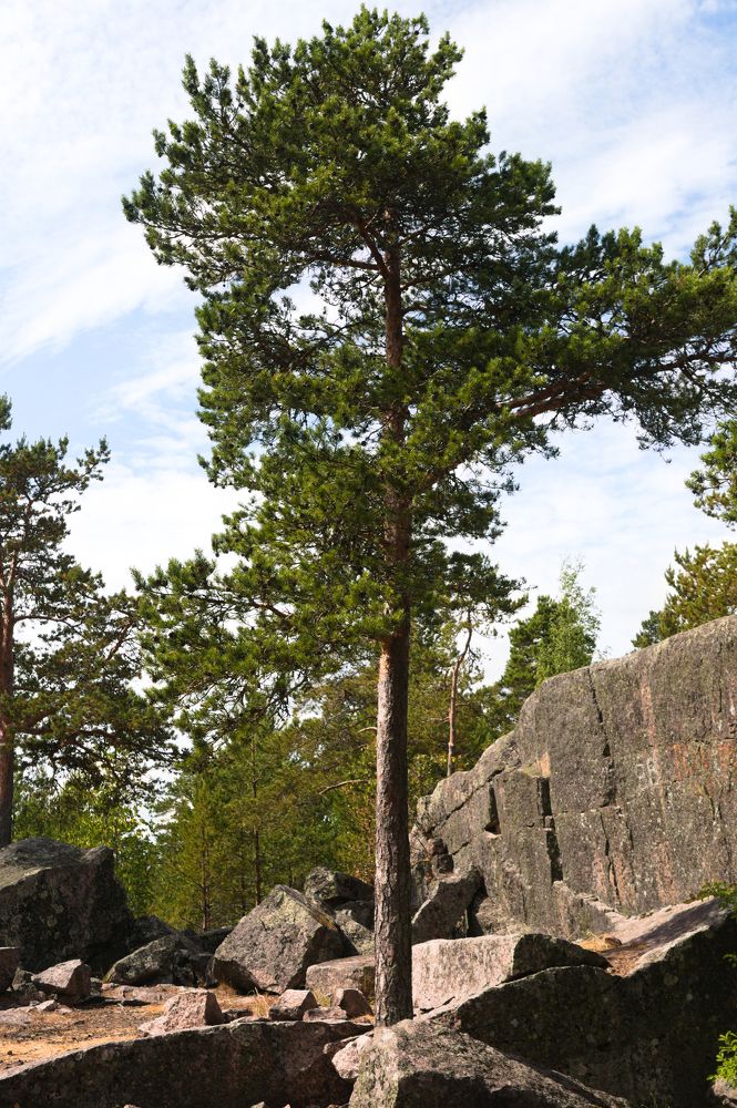 Photograph by DUBINA LEONID