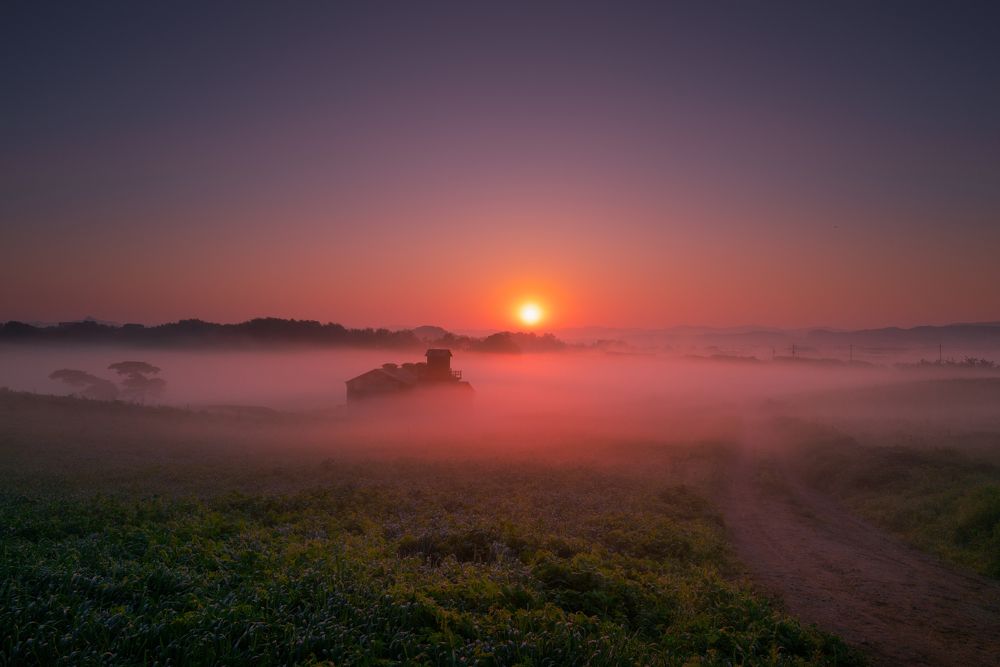 Beautiful Dawn Landscape