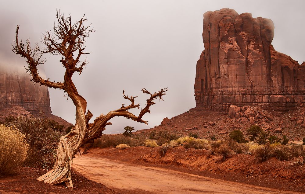 Photograph by ANDREA DUBLASKI