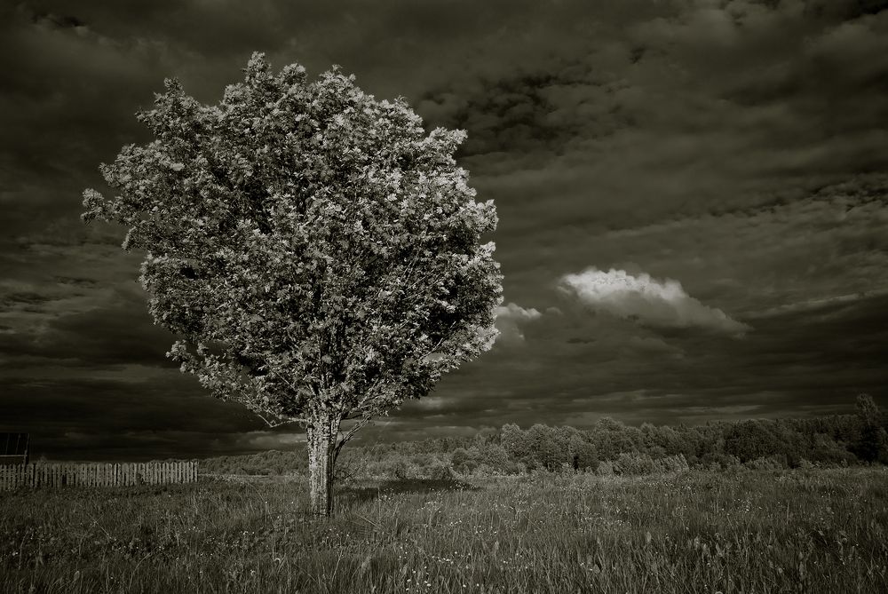 Фотография автора Михаил Кабанов