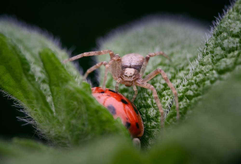 Photograph by Ширяев Константин
