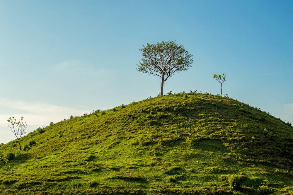 Photograph by Javier Robles