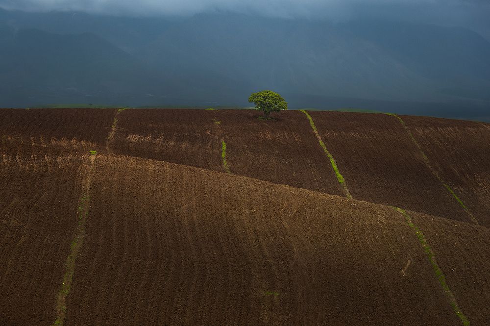 Фотография автора Amin Pasi Shirazi