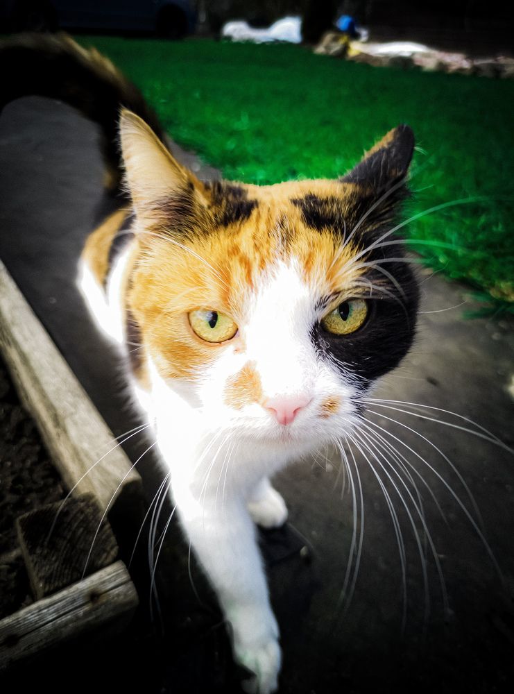 Photograph by Дмитрий Малышев