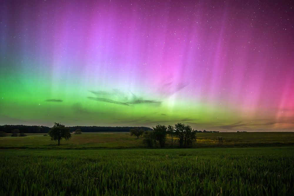 Photograph by Saychan Islamov