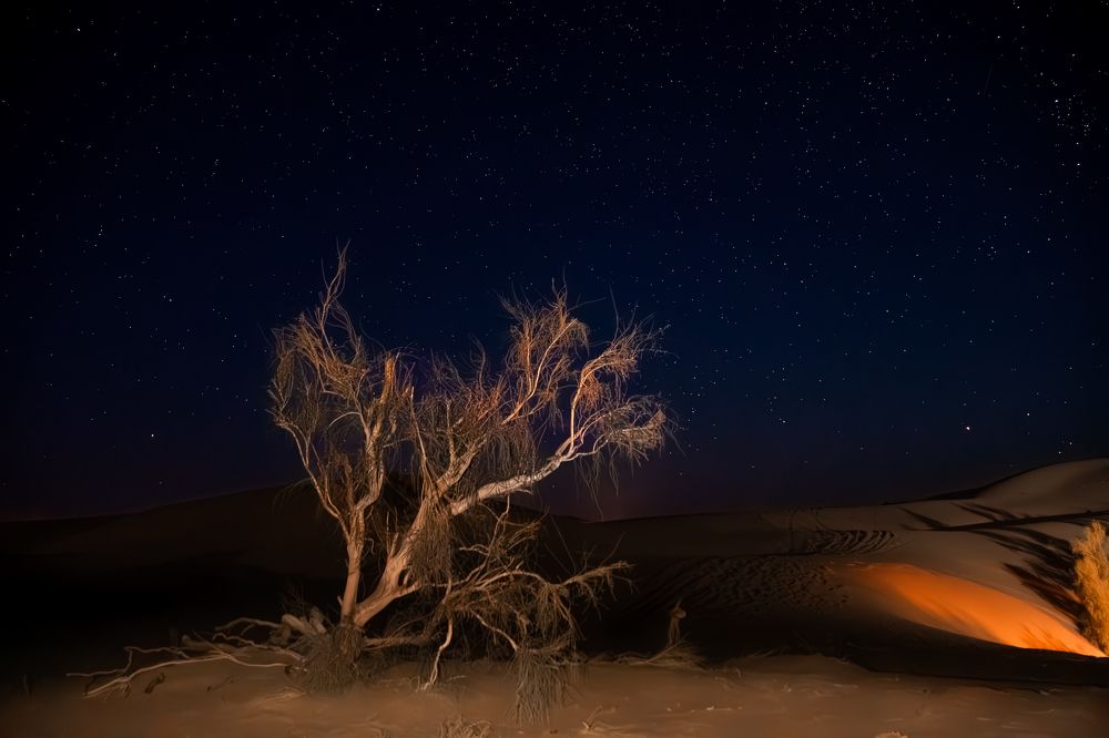 Фотография автора Jafar Zavvar