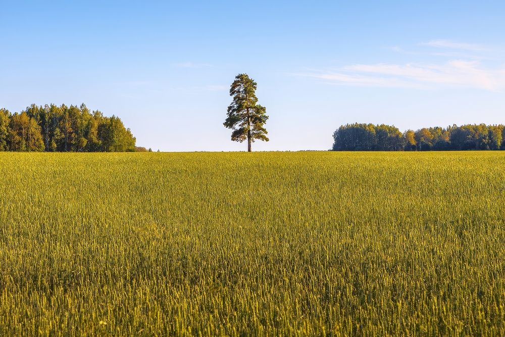 Photograph by Юрий Спасенников