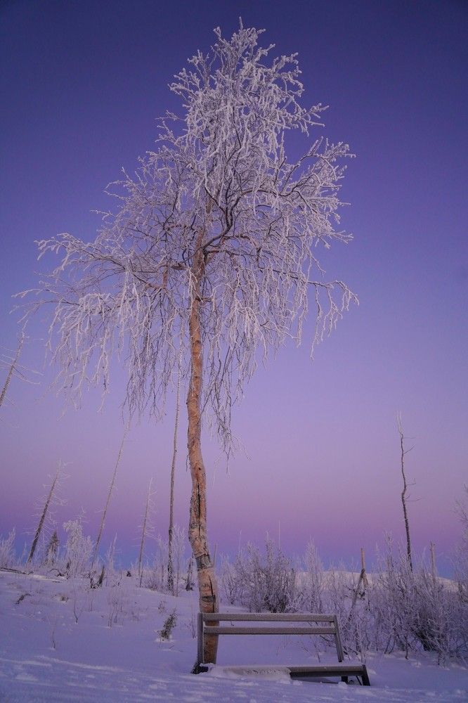 Photograph by Артем Севастьянов