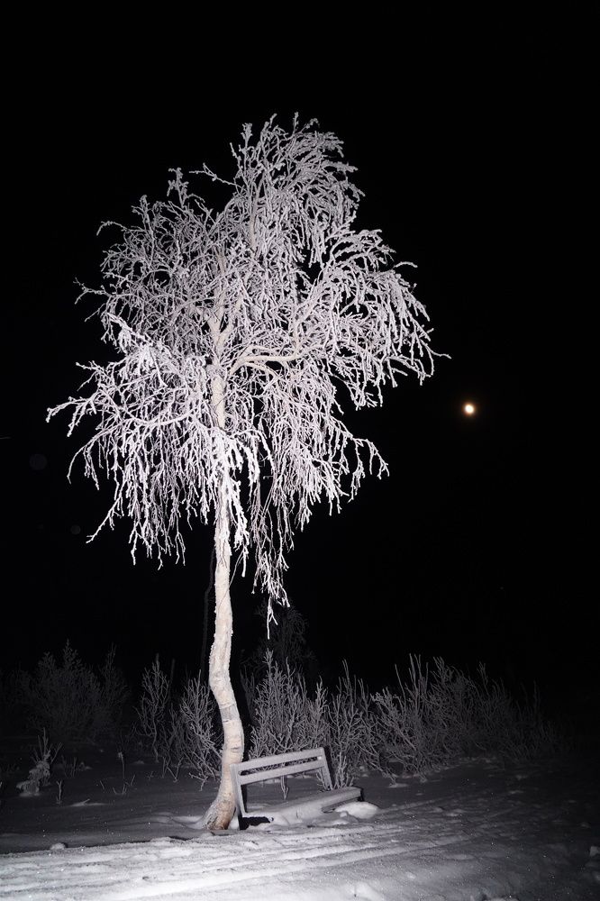 Photograph by Артем Севастьянов