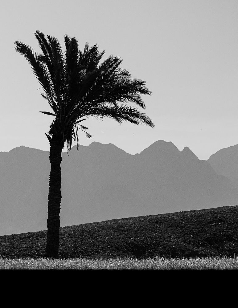 Photograph by Javad zavar