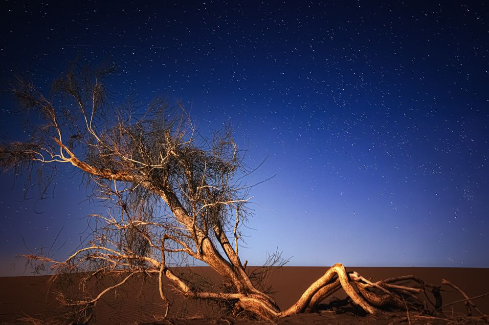 Photograph by Javad zavar