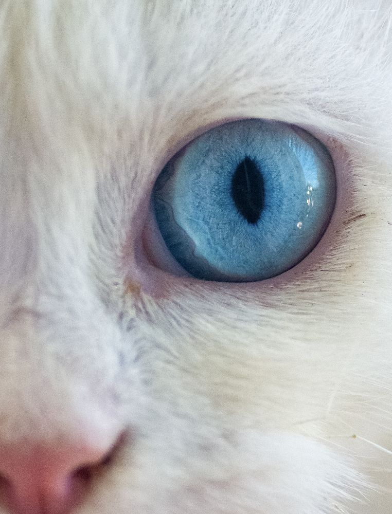 Photograph by mohamed