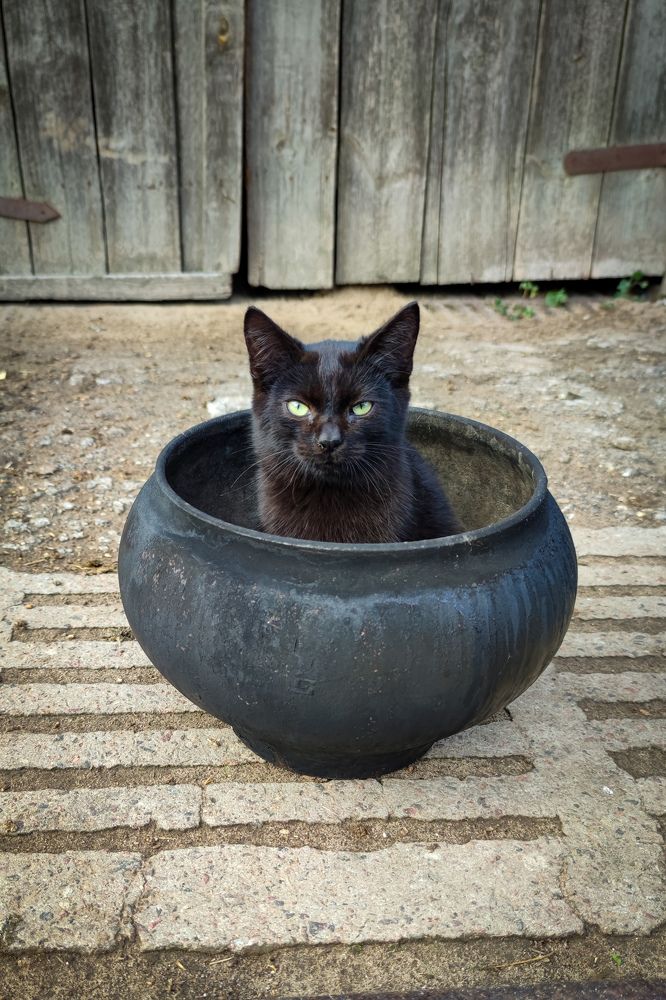 Photograph by Анна Евдокименко