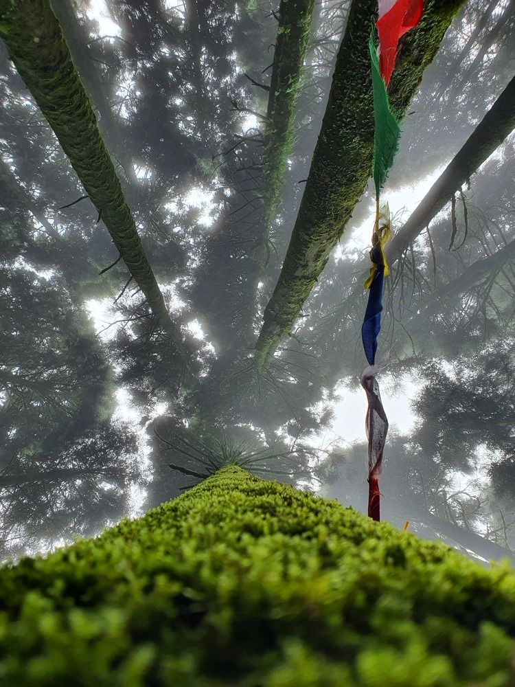 Photograph by Udipta Karmakar