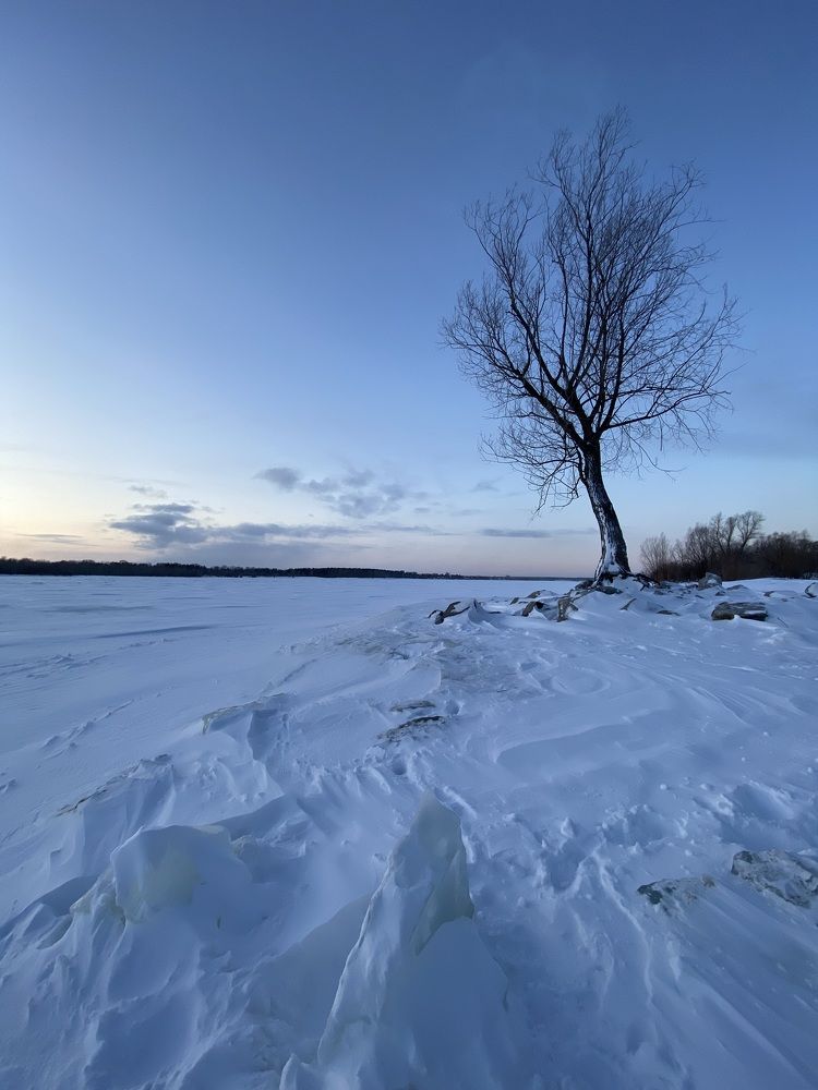 Photograph by Алиса Лукина