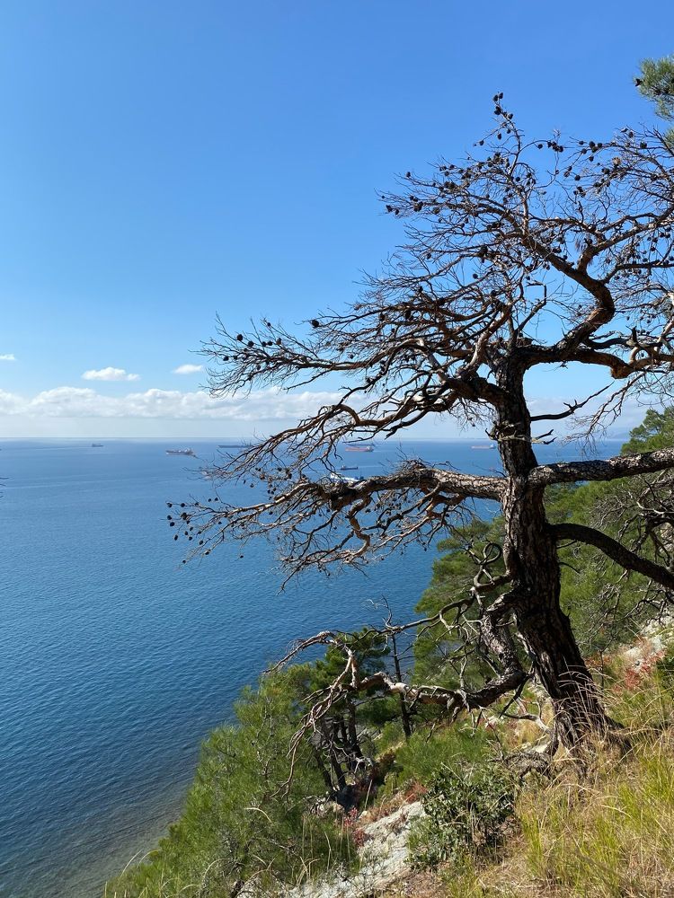 Photograph by Алиса Лукина