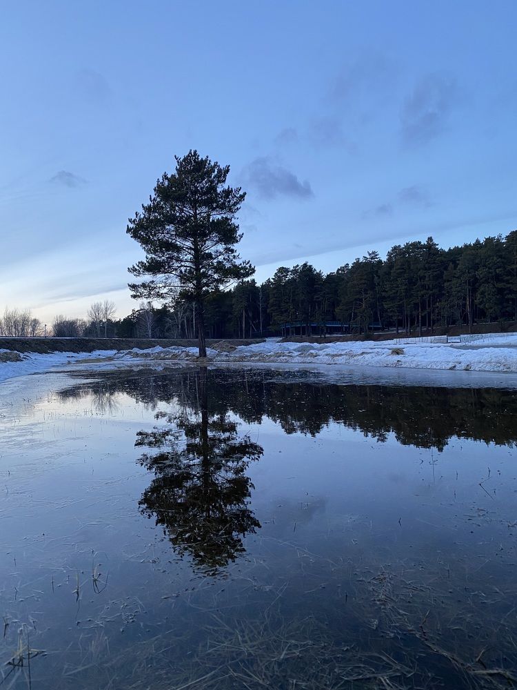 Photograph by Алиса Лукина