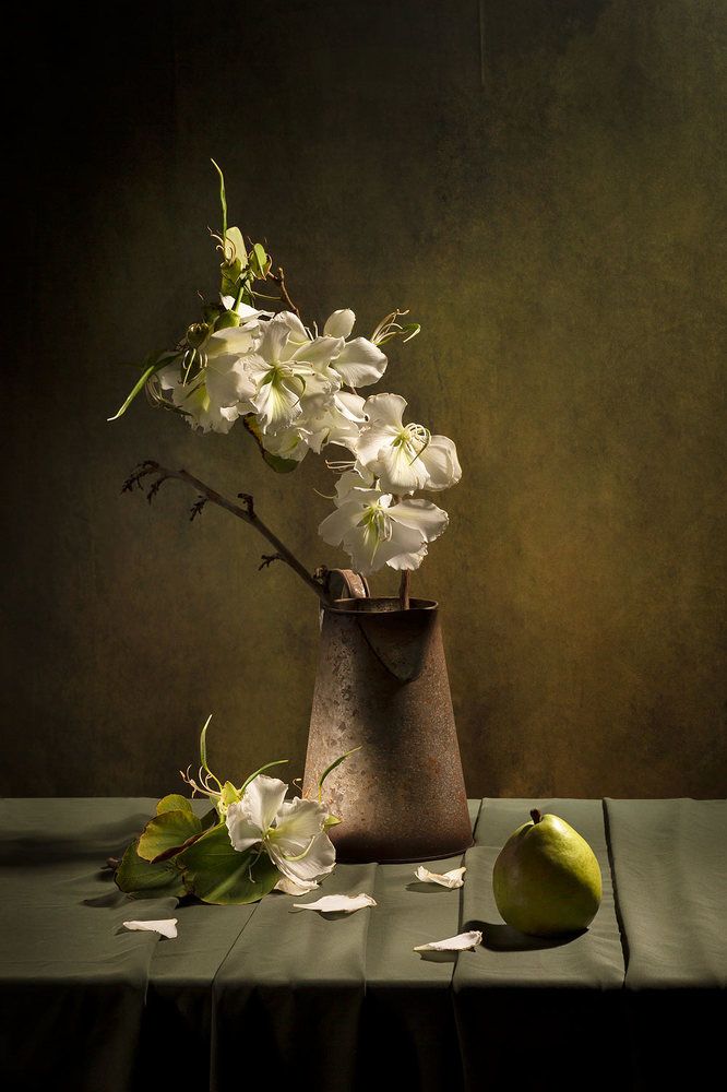 Натюрморт с белрй баухинией.