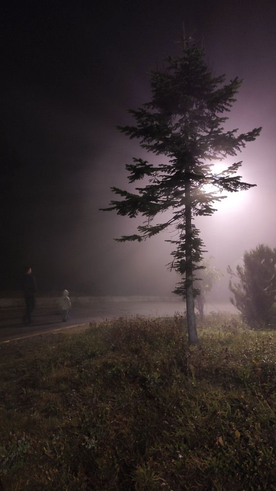 Photograph by Елена Птуха