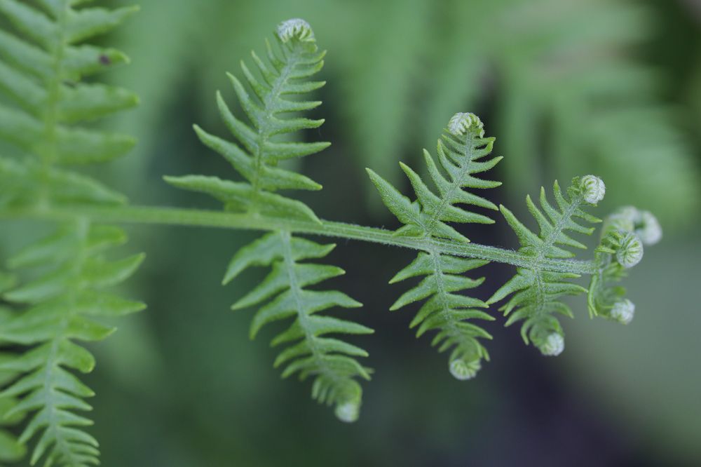 Photograph by Надежда Зайцева